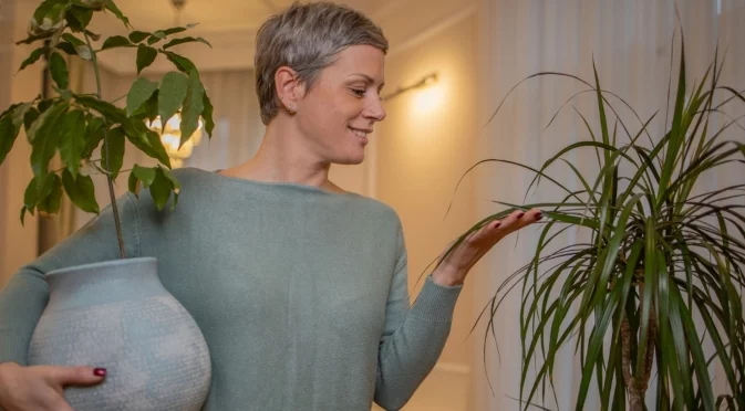 Тези растения са талисмани: Струва си да ги имате у дома, защото носят късмет и пари