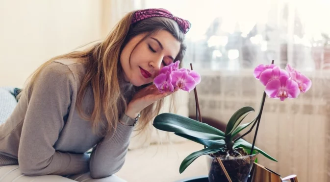 Грешката, която убива стайните цветя: Как и кога да торим правилно