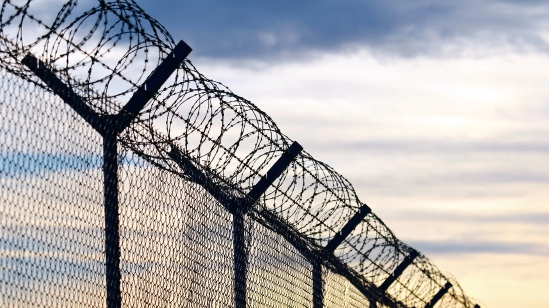 "Била увита с тел": Работници в Босна и Херцеговина изкопаха жертва от войната (СНИМКА)