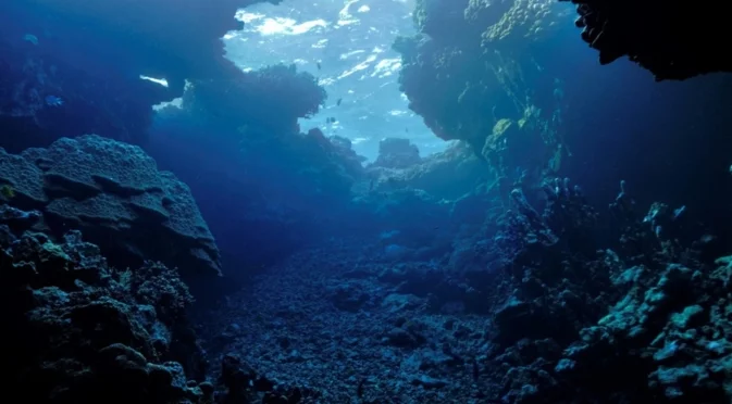 Странни правоъгълници на дъното на Тихия океан - какво означават