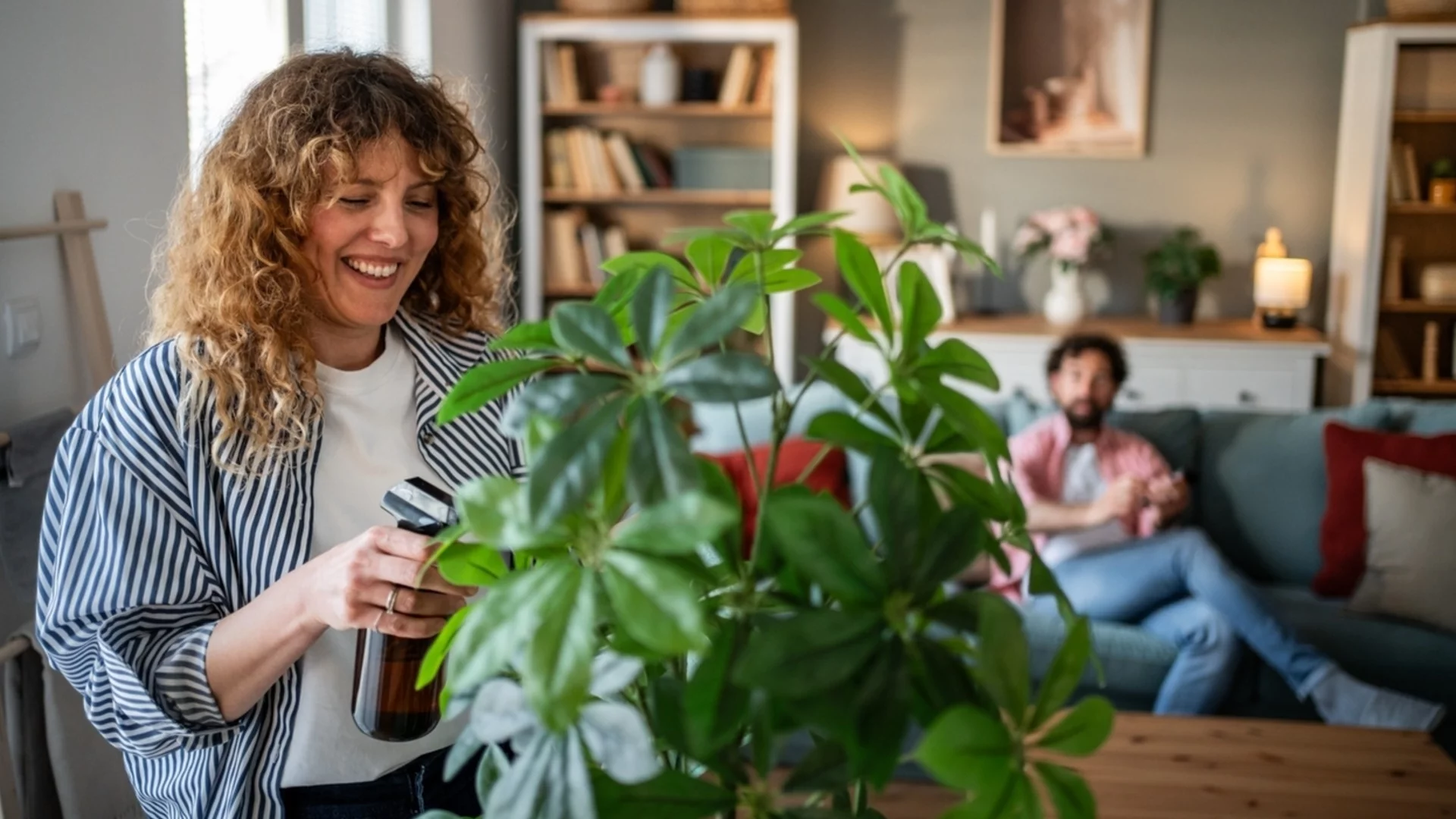 Зашеметяващото стайно растение, което вирее без много грижи