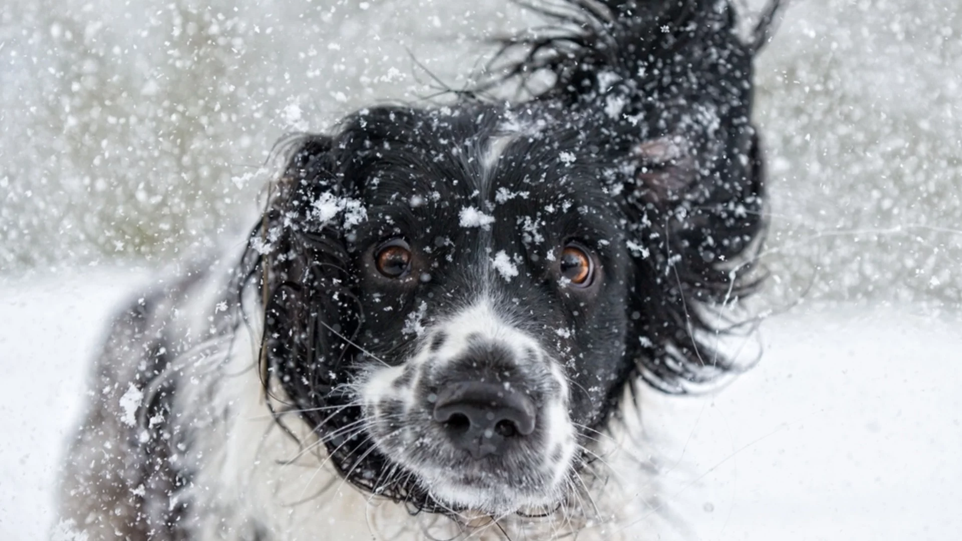 Големият студ остава в тези градове. Времето утре - 14 януари 2026 г. 