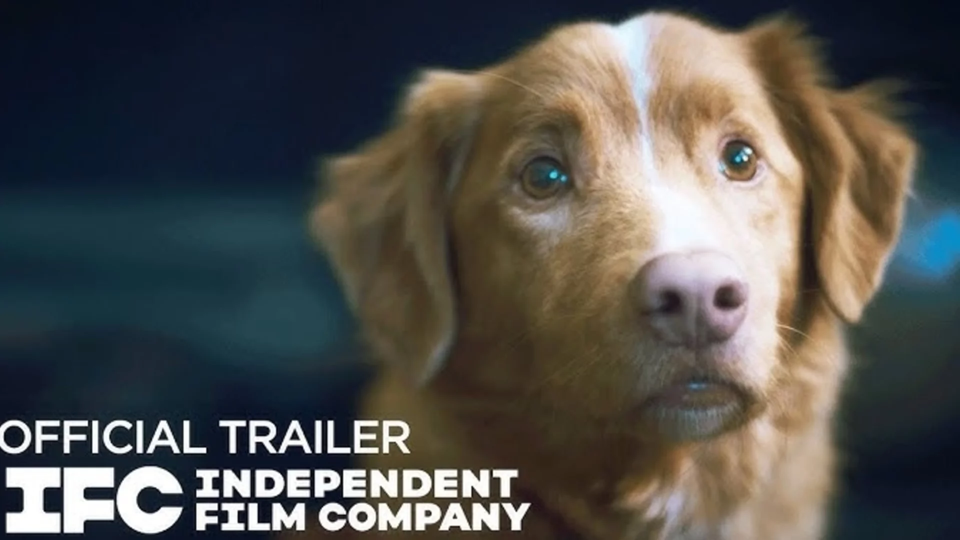 Куче спечели престижна награда за най-добро изпълнение във филм на ужасите (ВИДЕА+СНИМКИ)