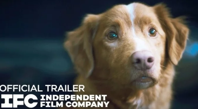 Куче спечели престижна награда за най-добро изпълнение във филм на ужасите (ВИДЕА+СНИМКИ)