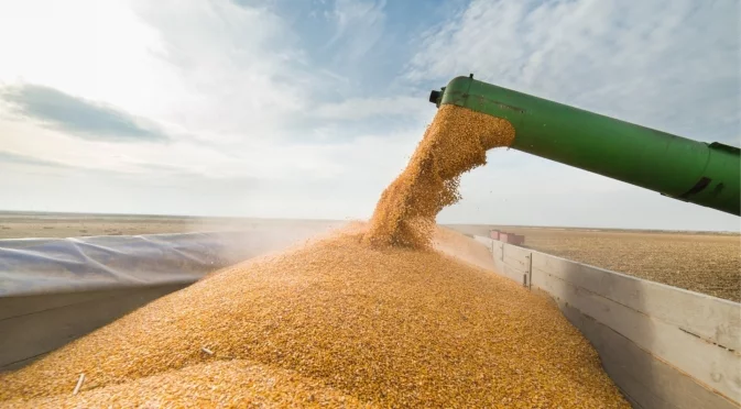 Европа жертва земеделието си за сметка на производството на коли: Български производител за споразумението с Меркосур