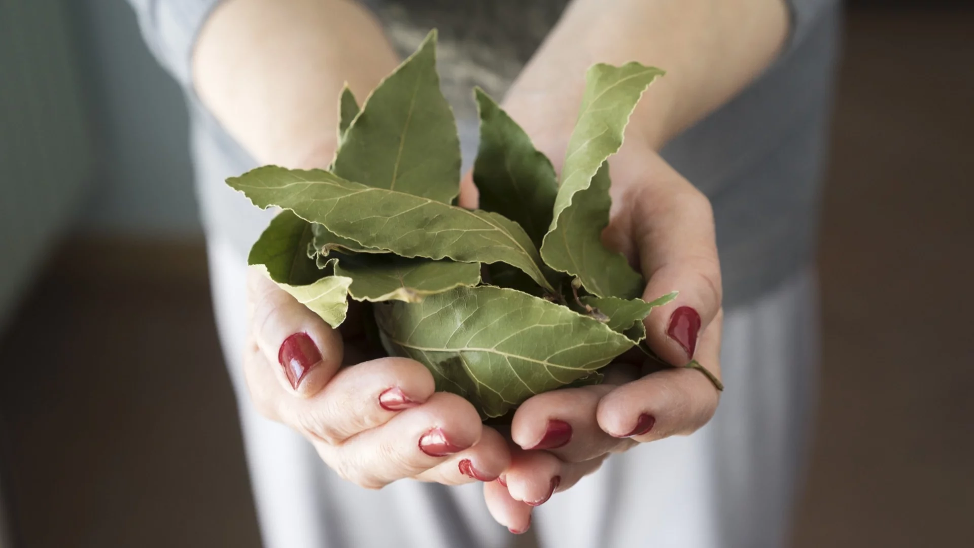 Този трик с дафинов лист е гаранция за свеж въздух в кухнята