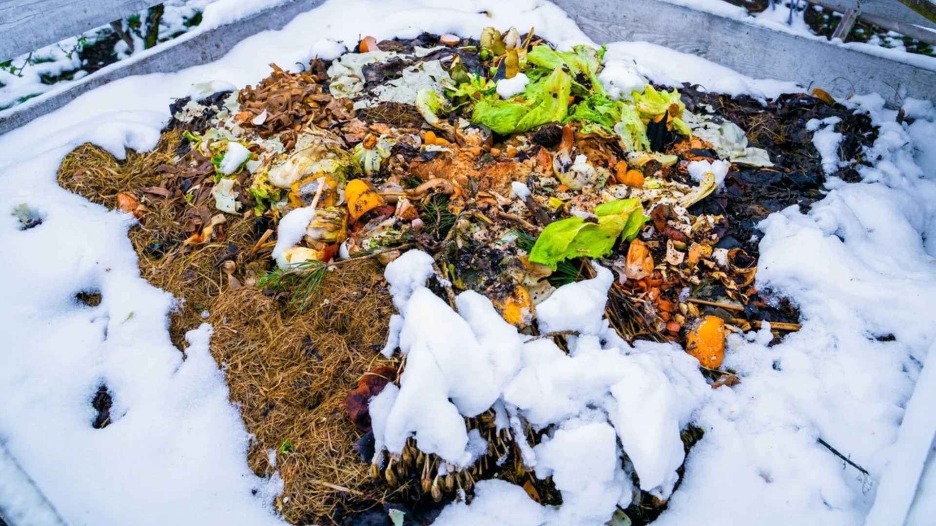 Само така е правилно да компостирате през зимата