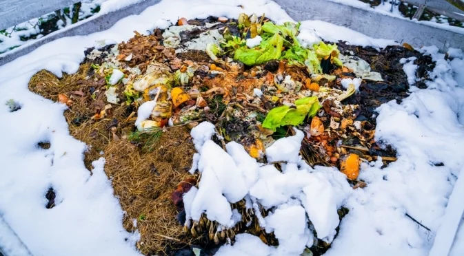 Само така е правилно да компостирате през зимата