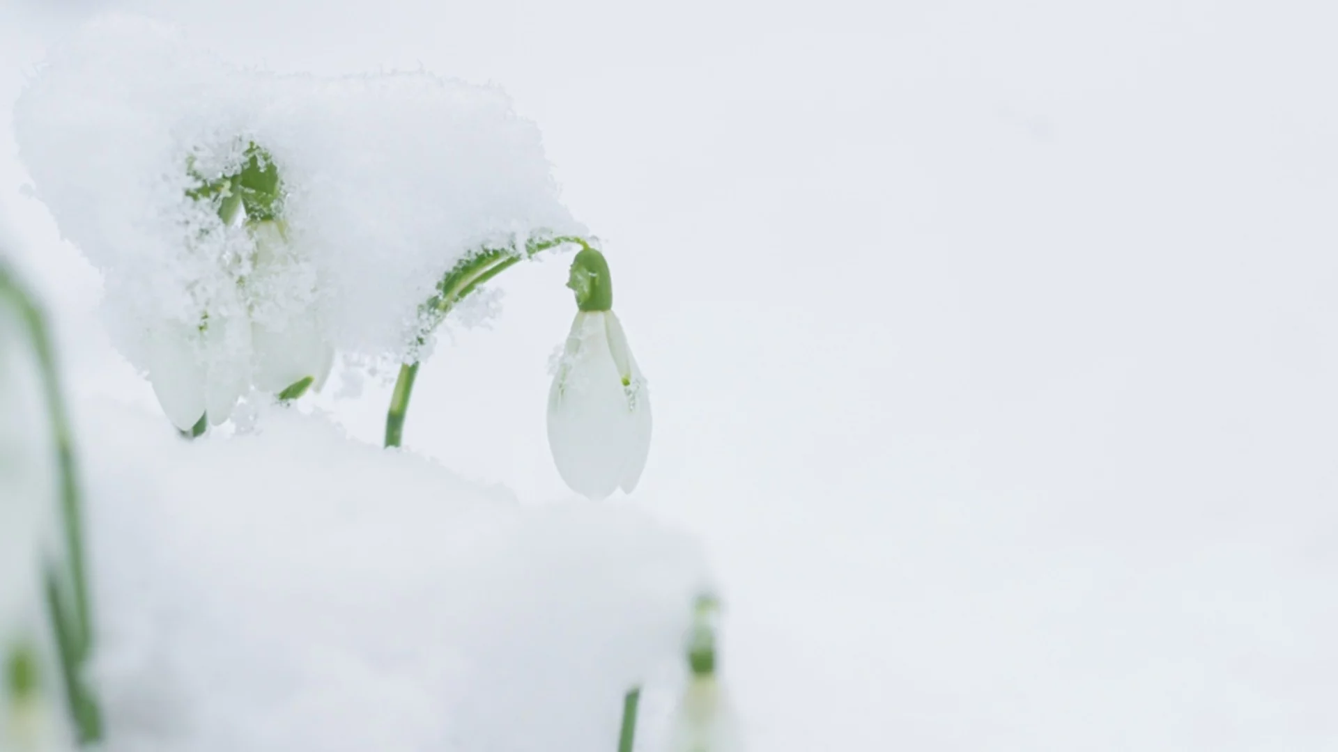 Рязка промяна в температурите. Времето утре - 15 януари 2026 г. 