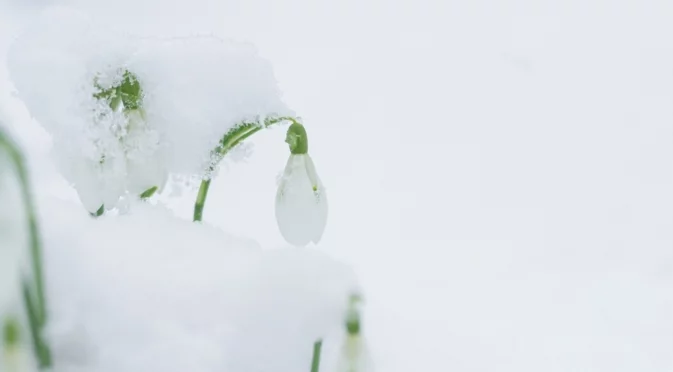 Рязка промяна в температурите. Времето утре - 15 януари 2026 г. 