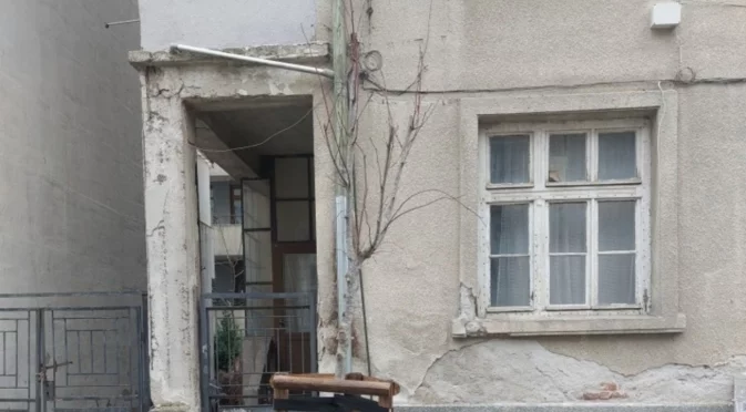 Вандали унищожават новозасадени дървета в Бургас