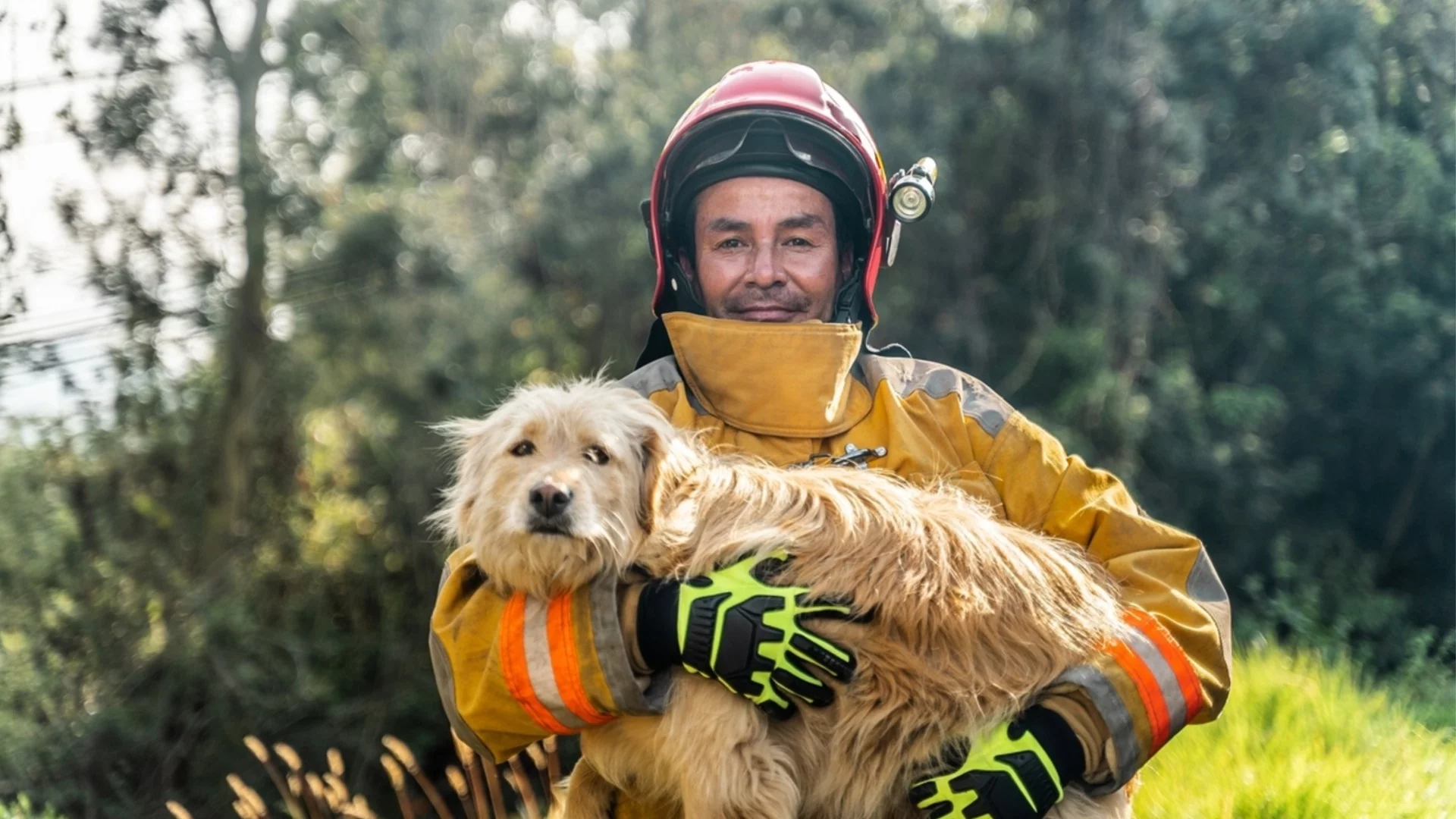 Пожарникари: Кучетата заслужават да бъдат спасявани
