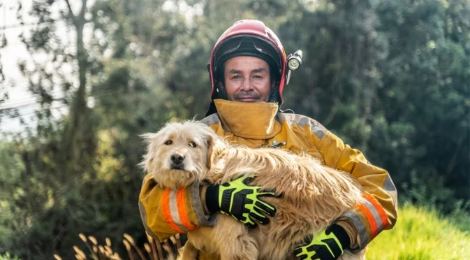 Пожарникари: Кучетата заслужават да бъдат спасявани