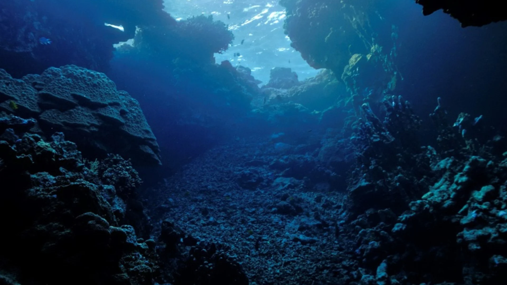 Япония първа в света започва добив на редкоземни метали от морското дъно