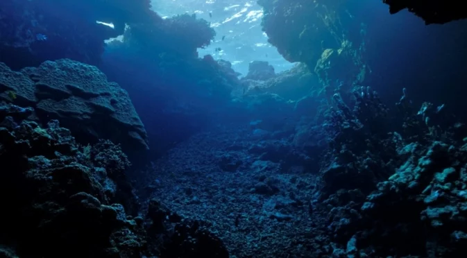 Япония първа в света започва добив на редкоземни метали от морското дъно