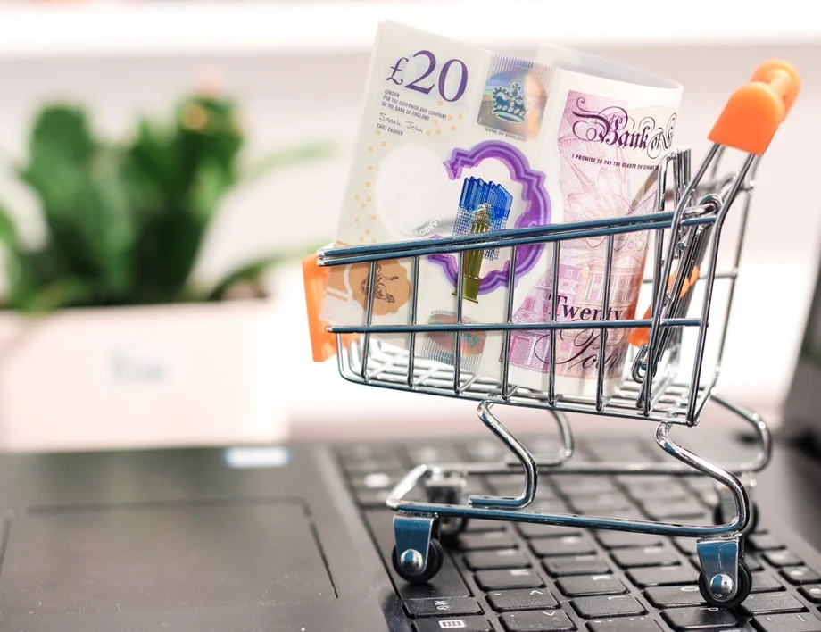 Паунд - лев. Колко струва един британски паунд към български лев днес, 15 януари /валутен калкулатор/