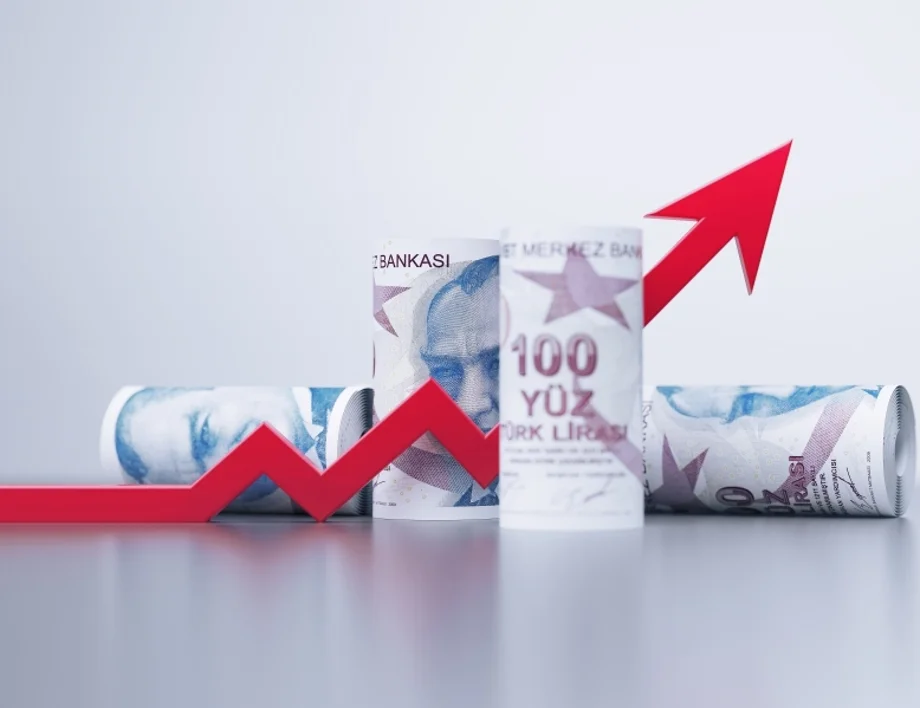 Турска лира - лев. Колко струва една турска лира към един български лев днес, 15 януари /валутен калкулатор/