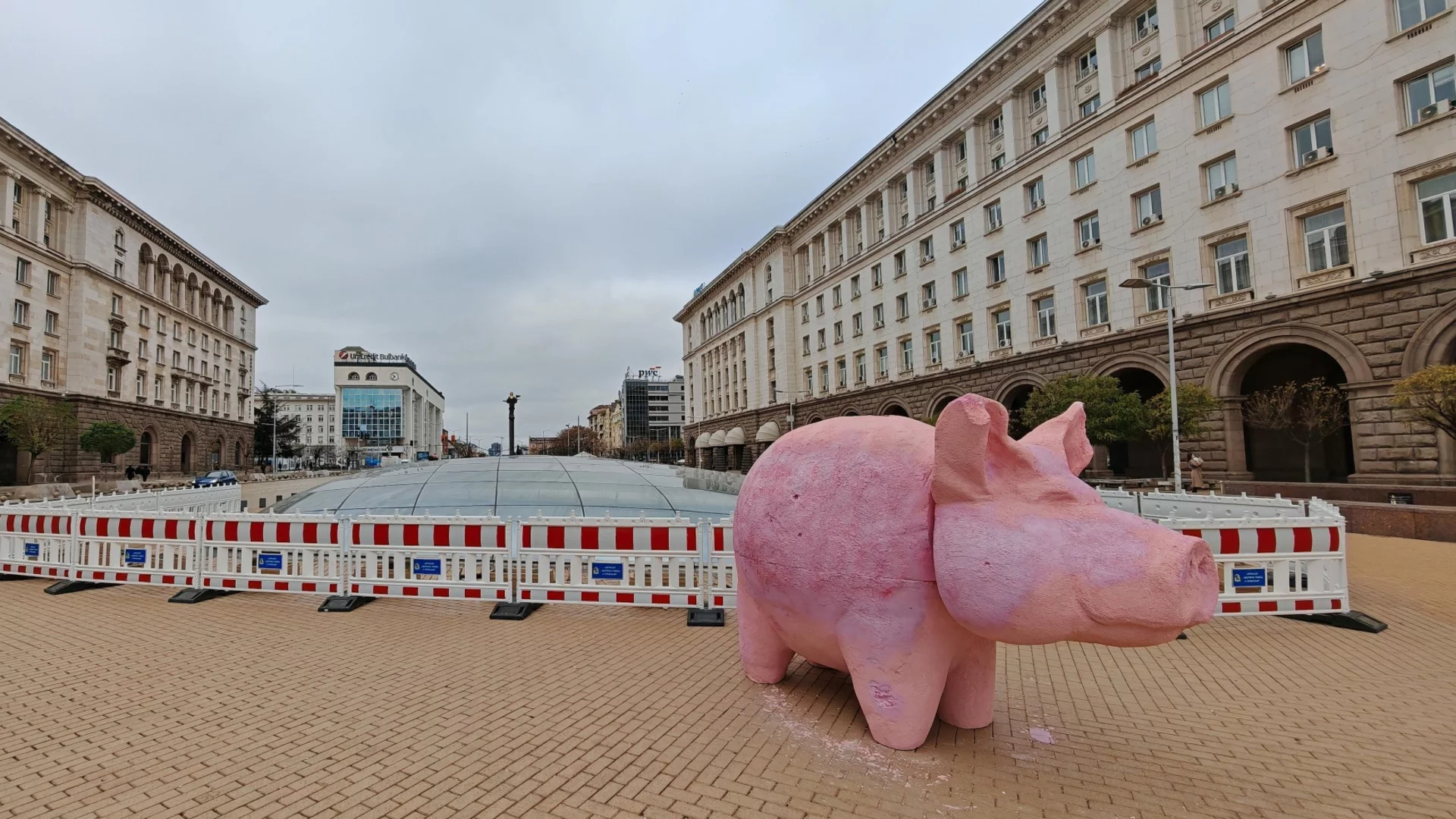 Прасето от протестите тръгва из страната, търси доброволци