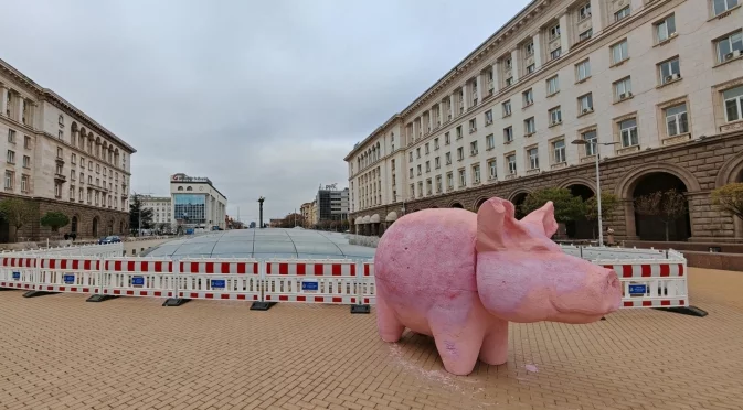 Прасето от протестите тръгва из страната, търси доброволци