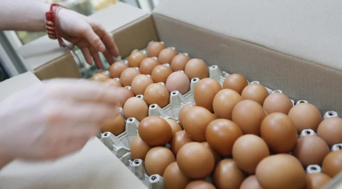 Иззеха контрабандно месо и яйца в Любимец