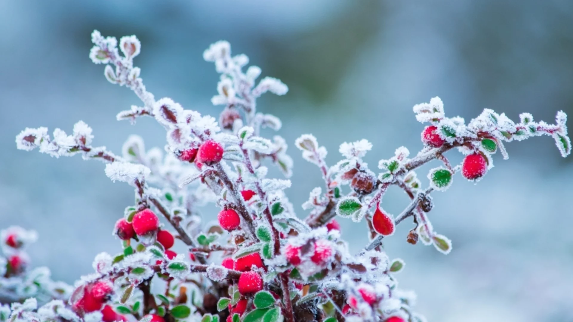 Прогноза за времето - 18 януари 2026 г. (неделя)