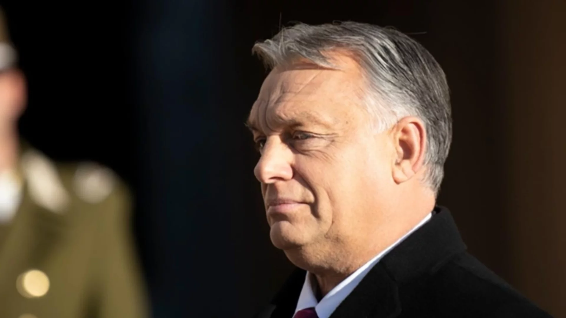 Защо Орбан иска повече "унгарски бебета"