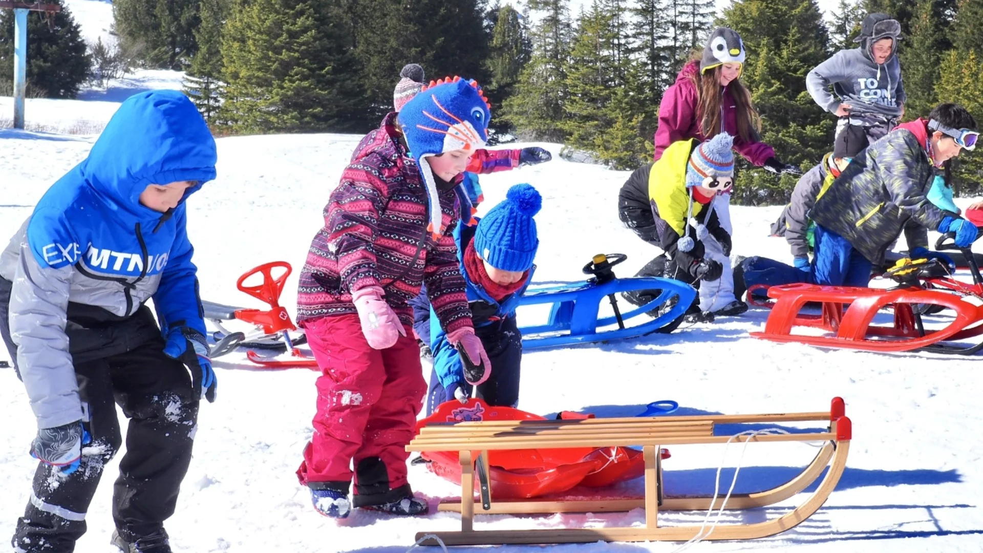 Зона за шейни отваря врати на хижа Алеко