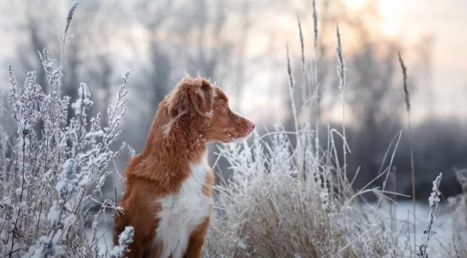 След студа: Проф. Георги Рачев обяви идва ли най-накрая топъл уикенд