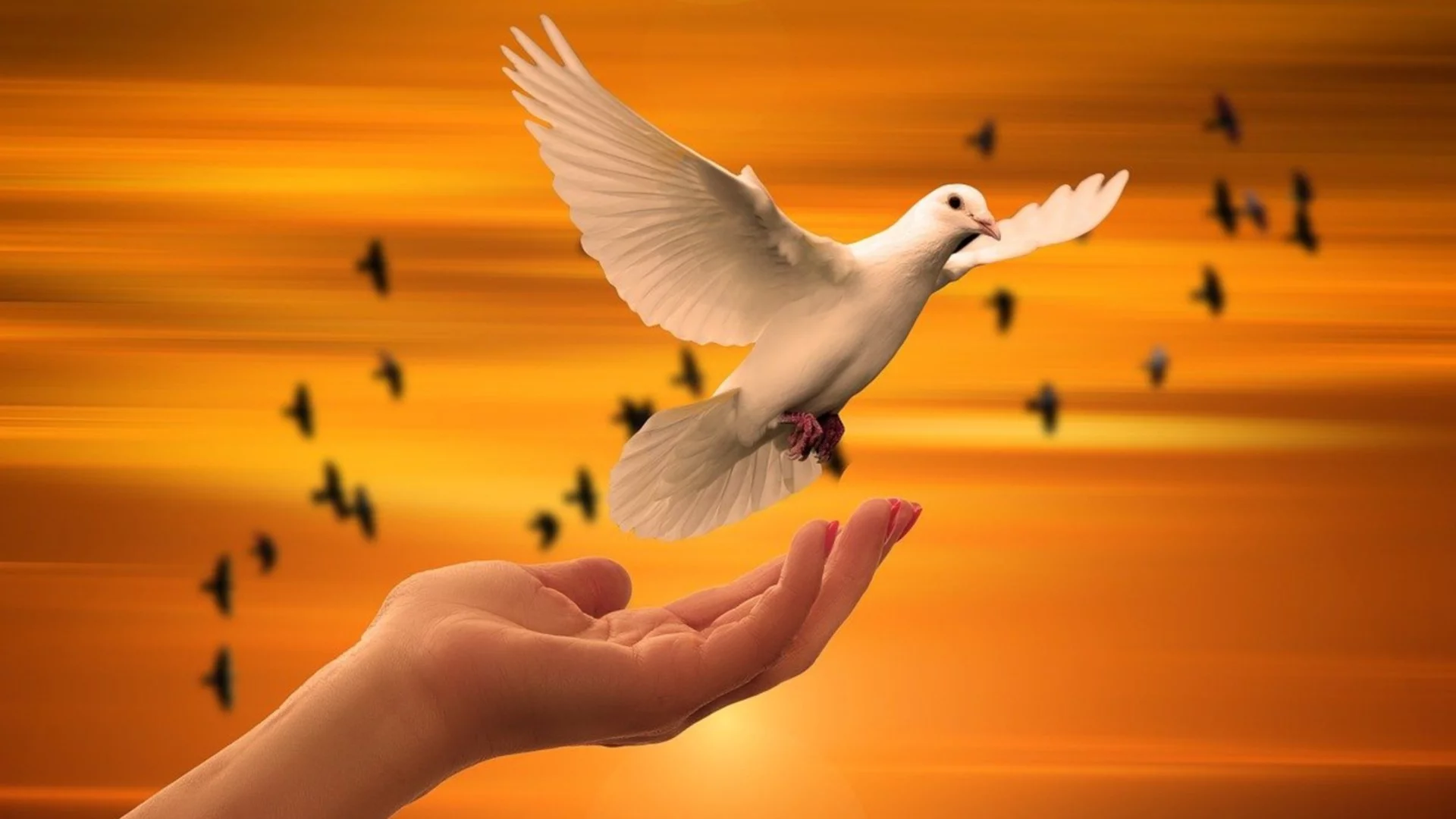 На 21 януари: Числото 21 ще бъде Божественият глас на интуицията за 4 зодии!