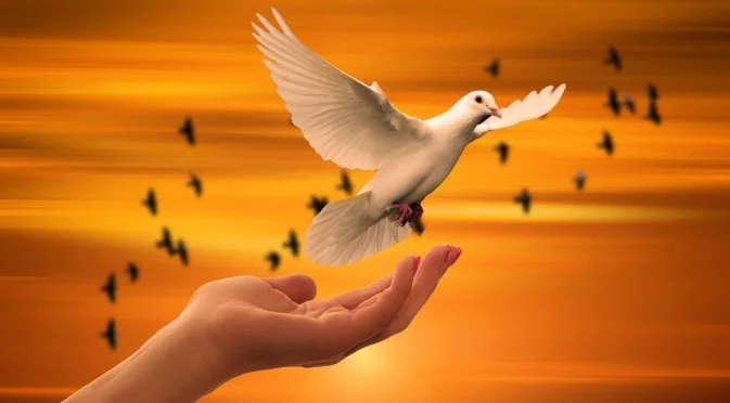 На 21 януари: Числото 21 ще бъде Божественият глас на интуицията за 4 зодии!