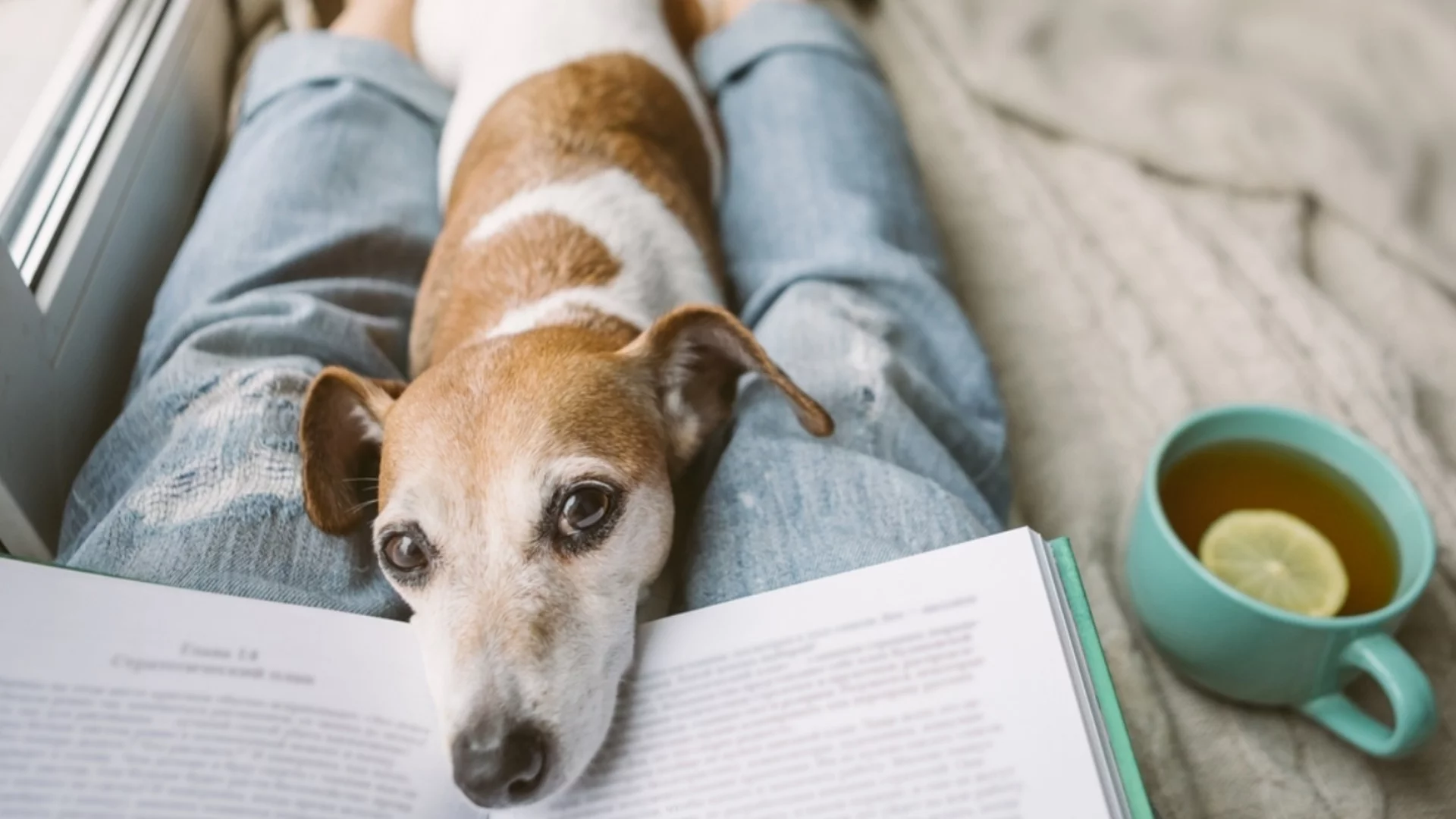 Навсякъде се затопля, само в едни град студ. Времето утре - 22 януари 2026 г. 