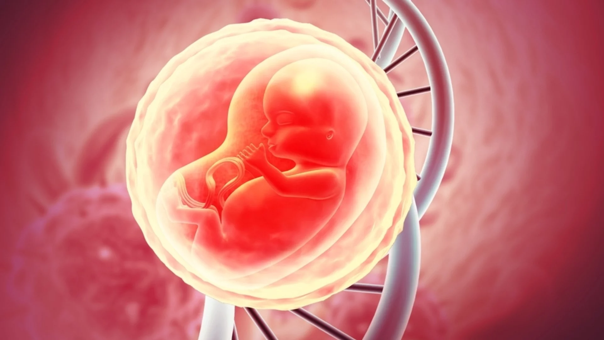 Как община Елин Пелин се превърна в пример за демографска политика