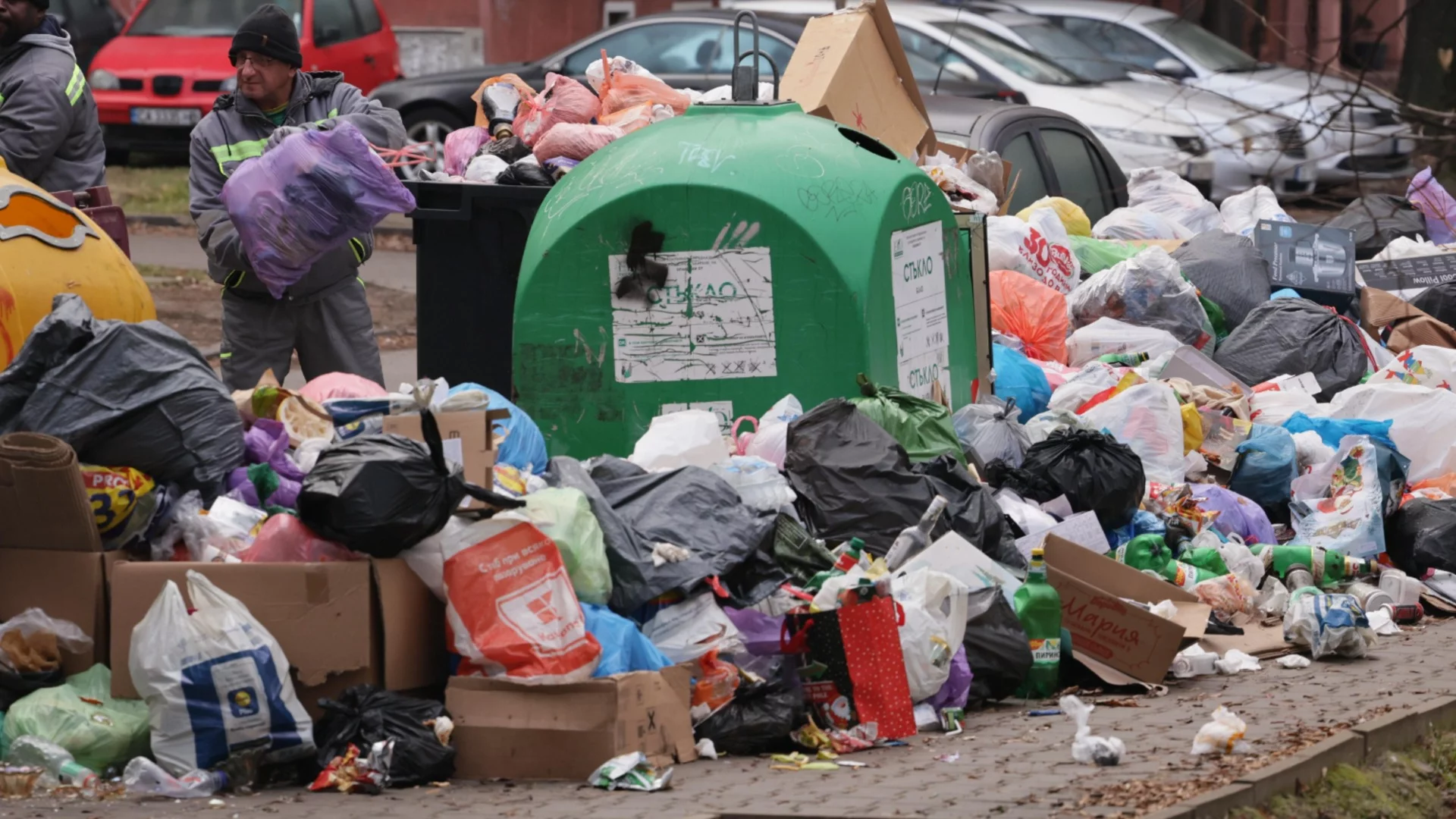 Бум на бълхи и кърлежи чакат софиянци заради кризата с боклука