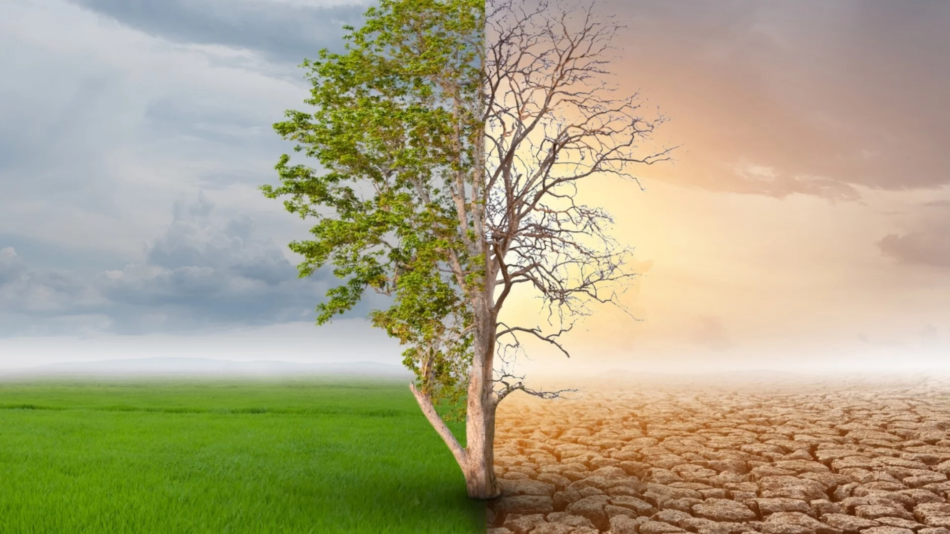 От една крайност в друга: Защо се редуват суши и наводнения в България?