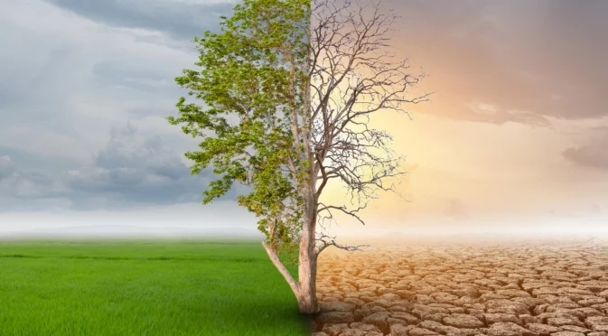 От една крайност в друга: Защо се редуват суши и наводнения в България?