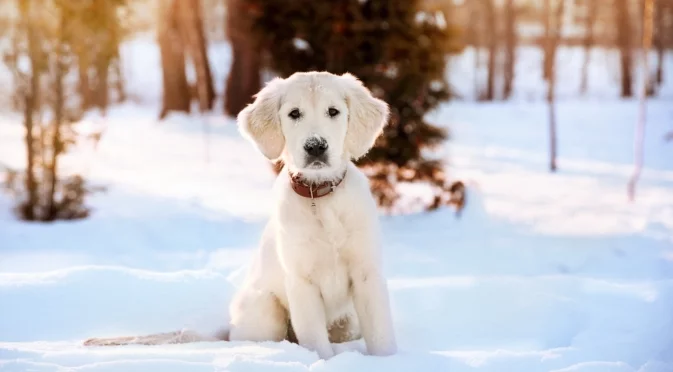 Прогноза за времето - 21 януари 2026 г. (сряда)