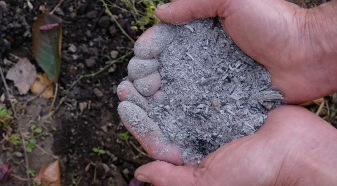 Най-силните натурални торове