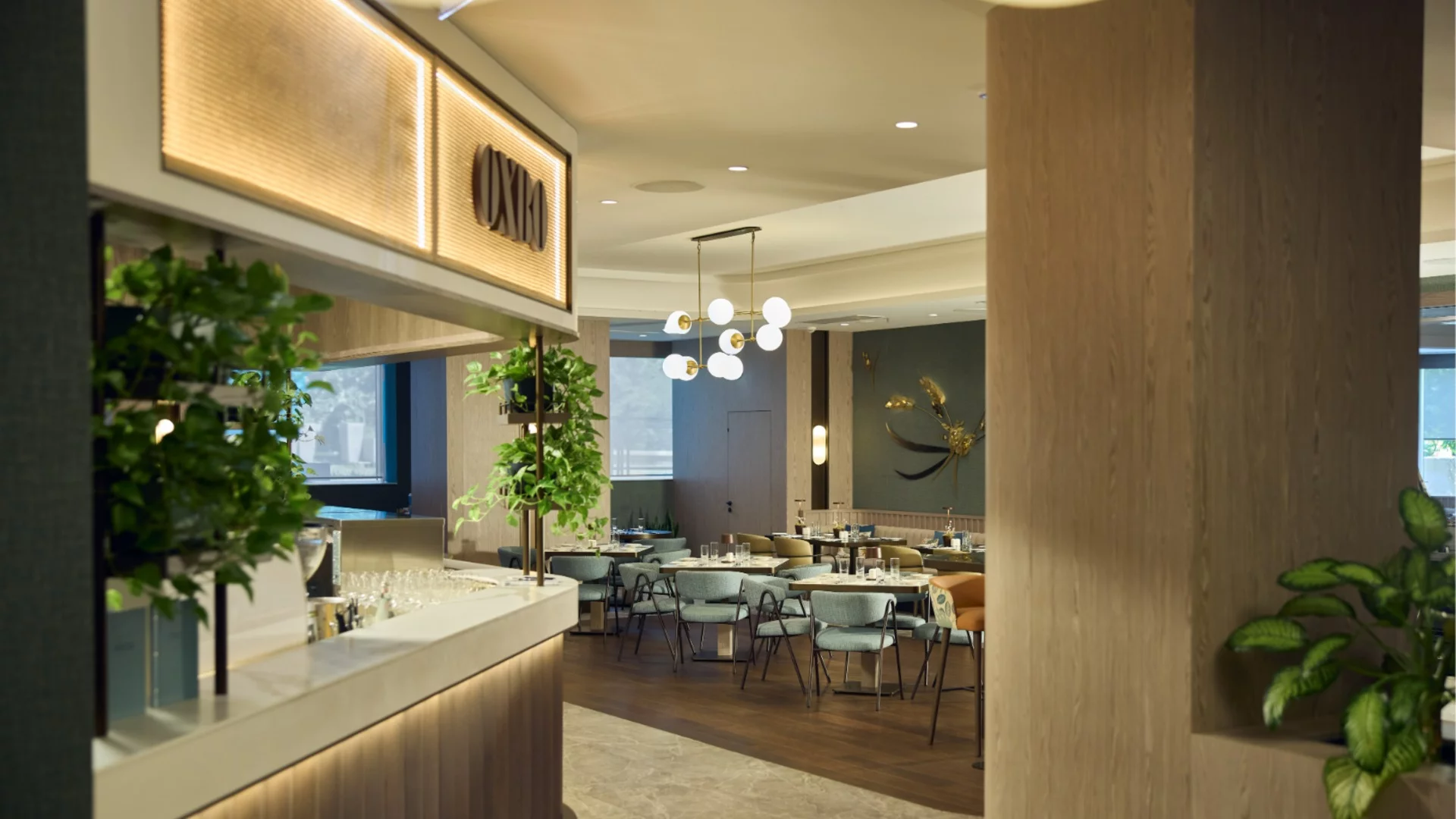 Вечер, посветена на любовта: Свети Валентин в ресторант OXBO