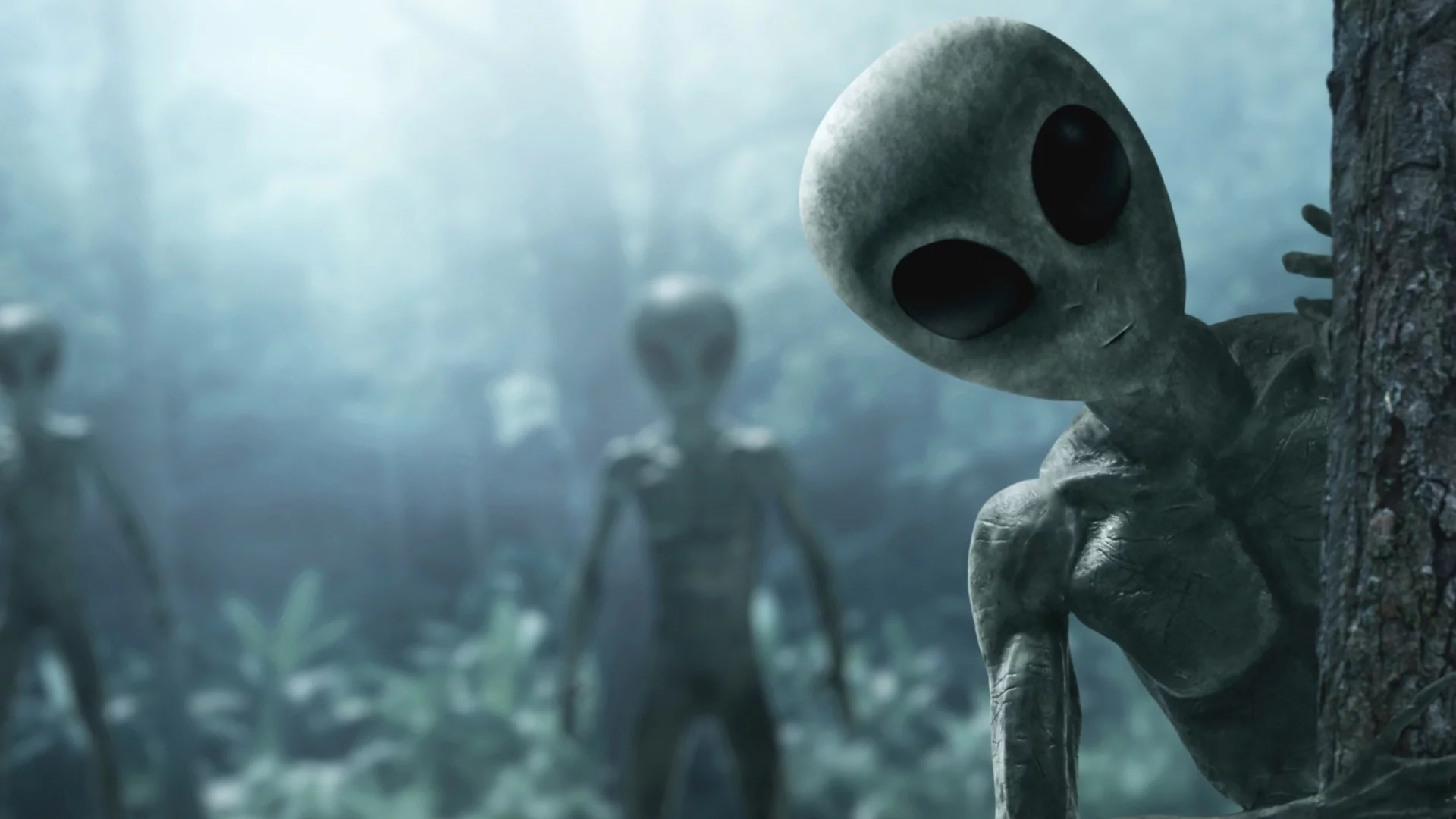 Учени откриха как общуват извънземните помежду си