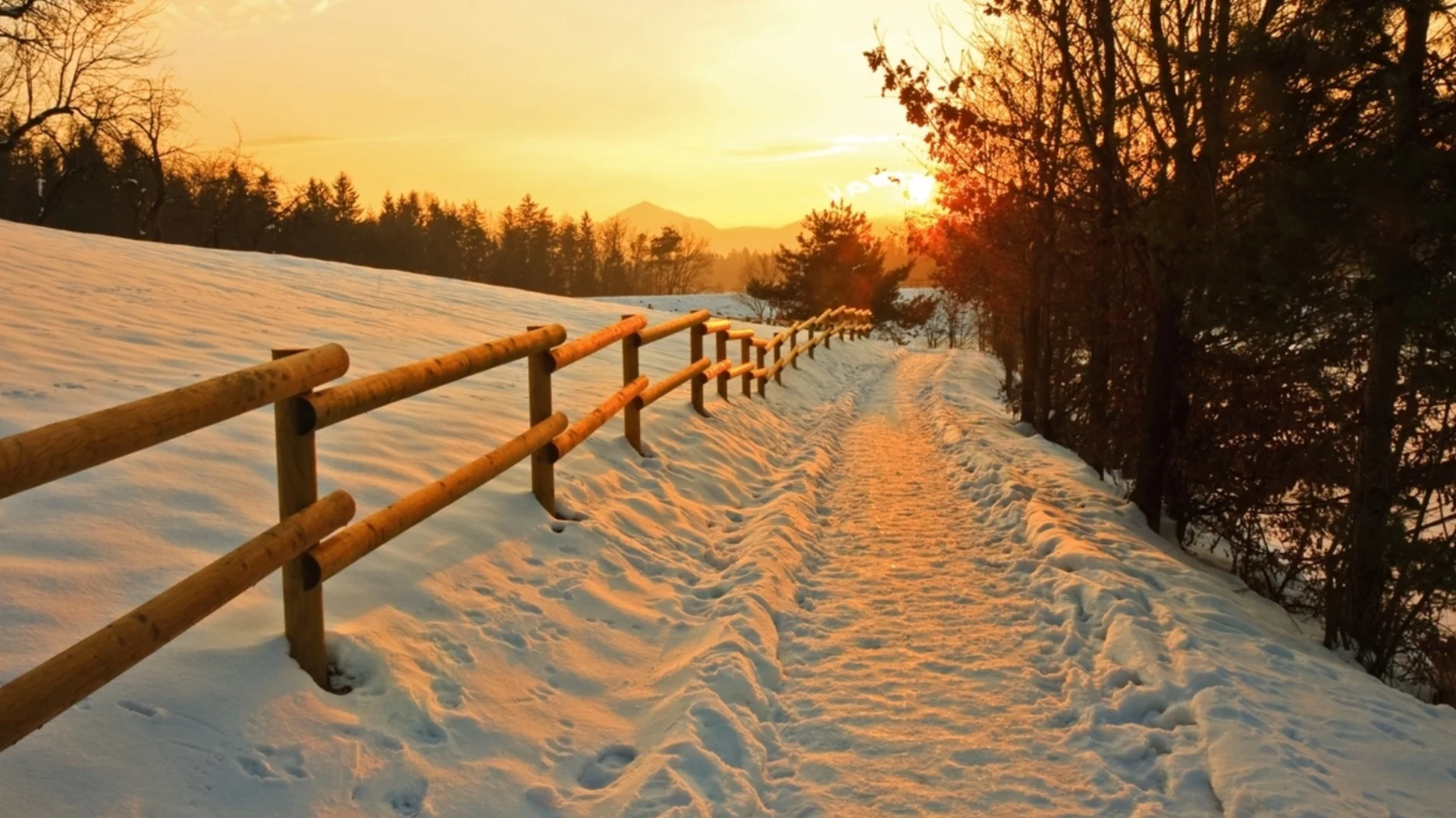 На 25 януари: Числото 25 ще прокара пъртина към истинското щастие за 4 зодии!