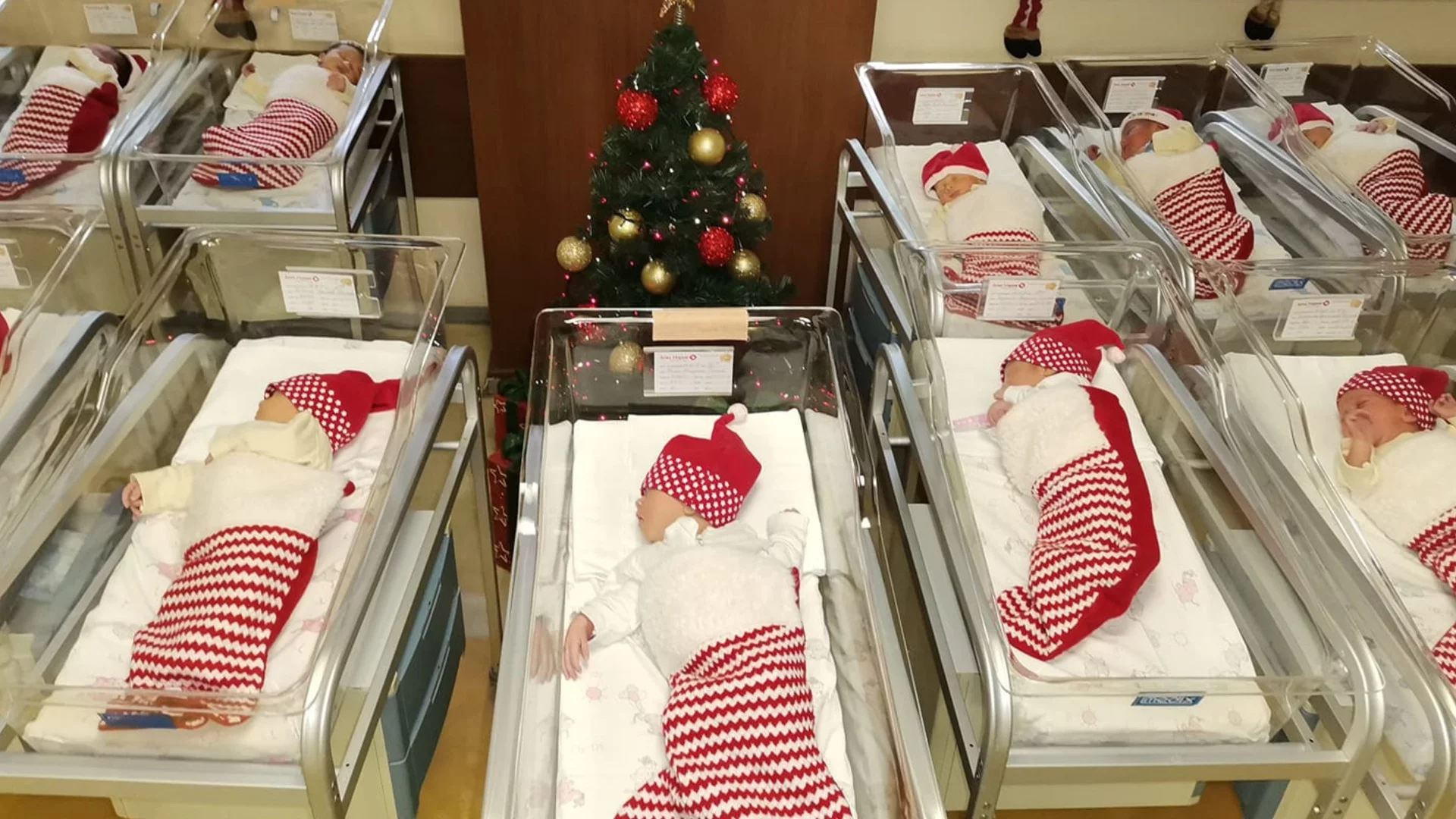 България е първа в ЕС по плодовитост