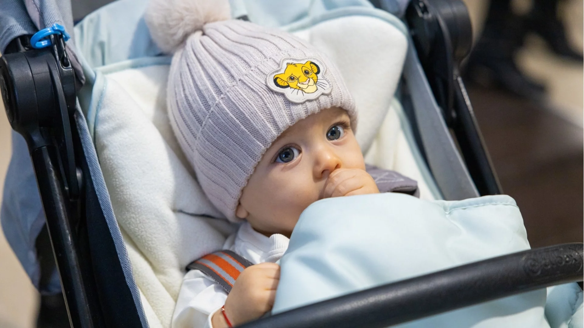 Община Костинброд е дом на нови 126 малки наследници