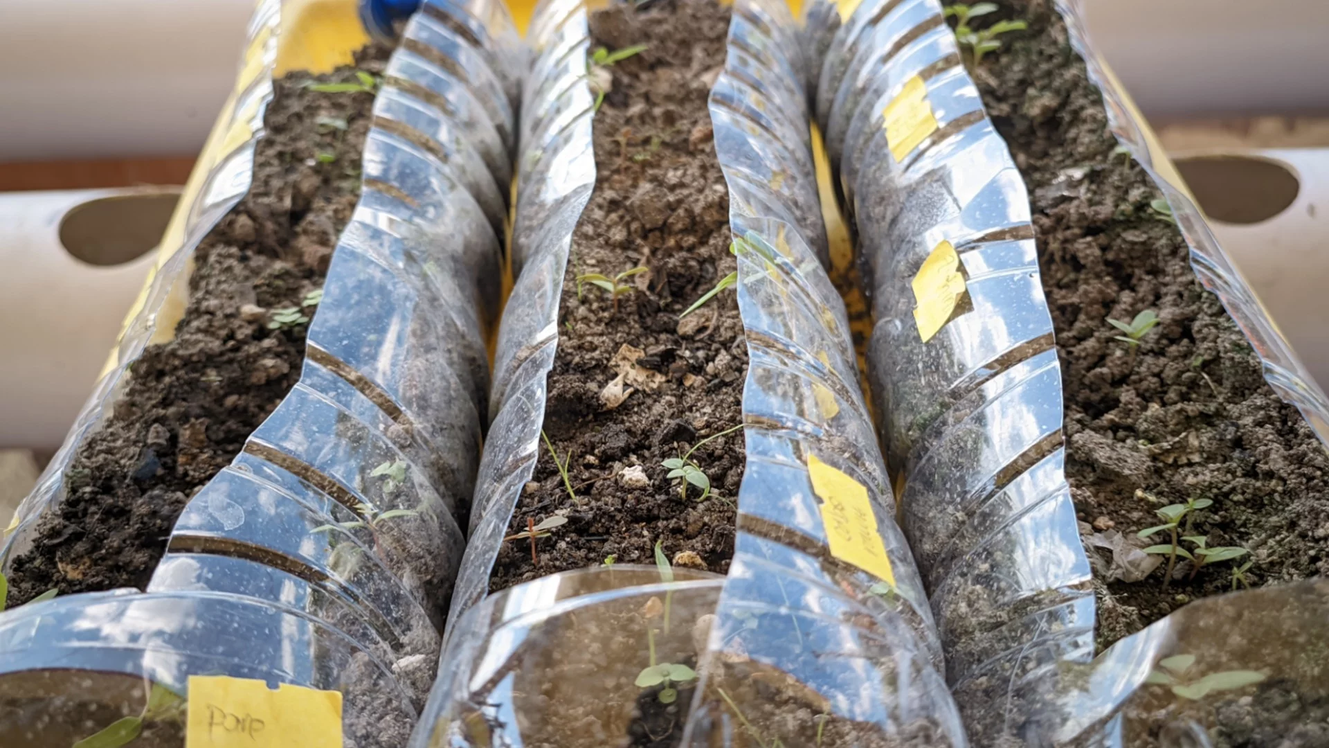 Зимна сеитба на цветя и зеленчуци: 5 неща, които определят дали вашата реколта ще бъде успешна