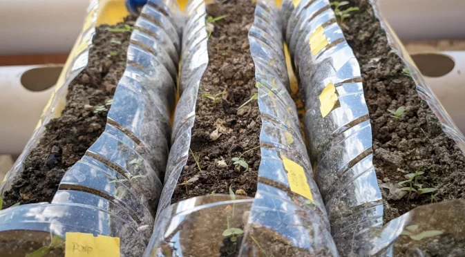 Зимна сеитба на цветя и зеленчуци: 5 неща, които определят дали вашата реколта ще бъде успешна