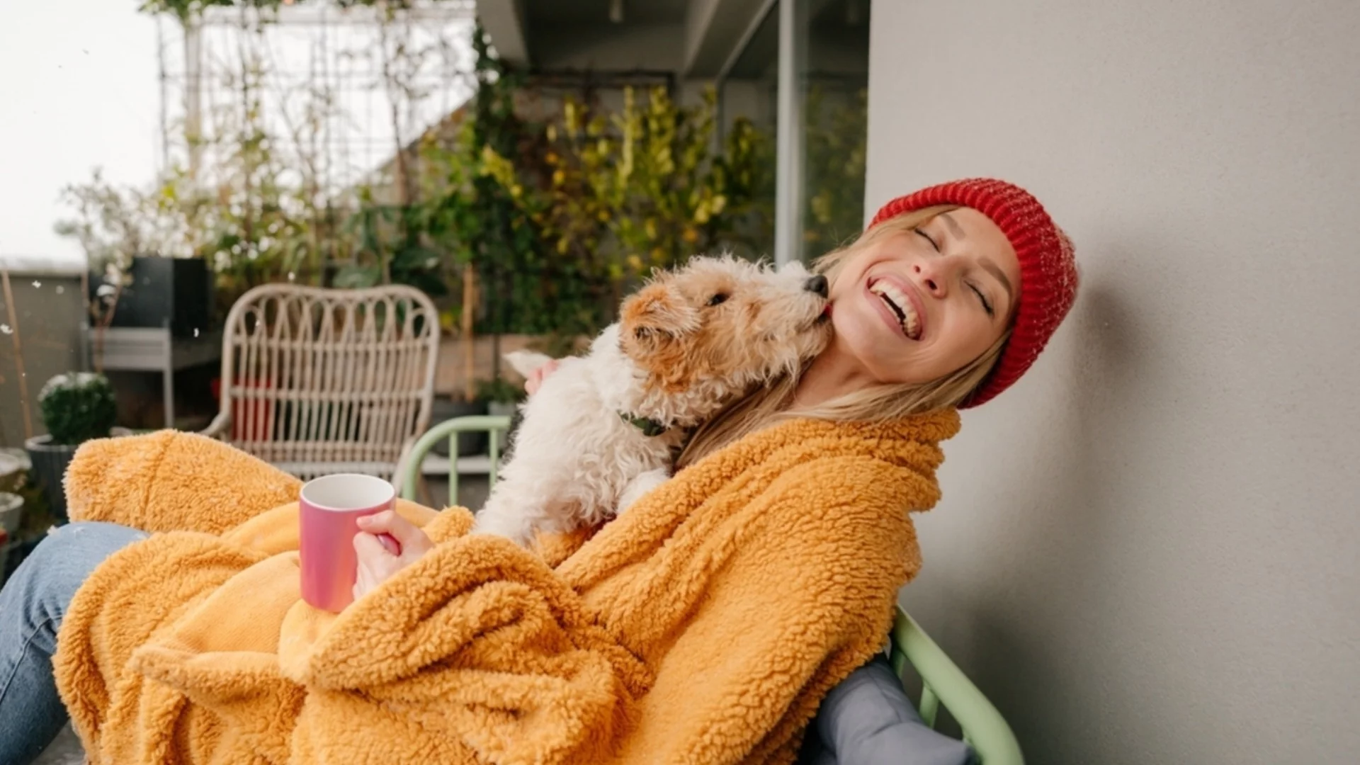 Вижте температурите. Времето утре - 24 януари 2026 г.