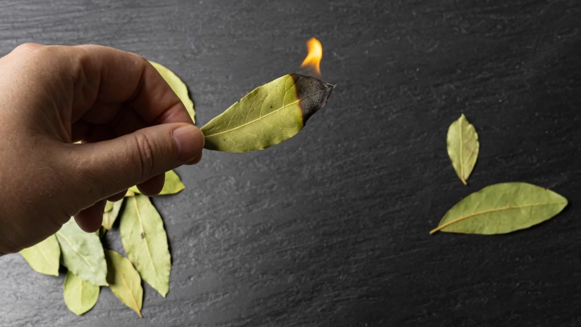 Как да проверите дали в дома ви има лоша енергия с 3 дафинови листа