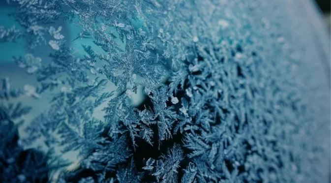 Лук вместо стъргалка: как да защитим автомобилното стъкло от леда