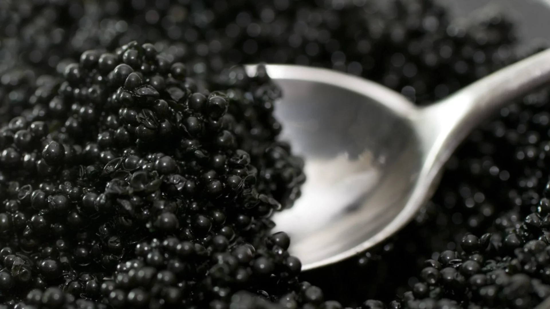 България е първа в Европа по износ на черен хайвер