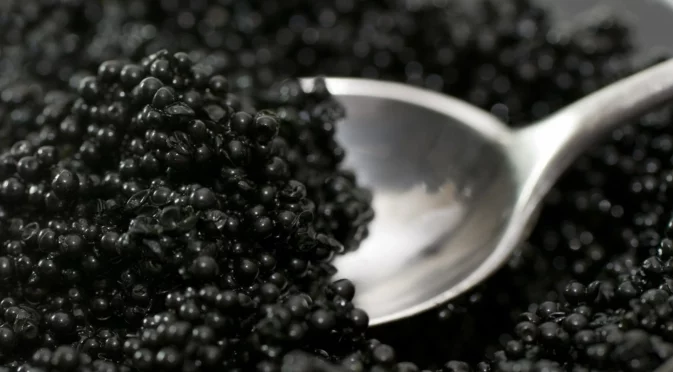 България е първа в Европа по износ на черен хайвер