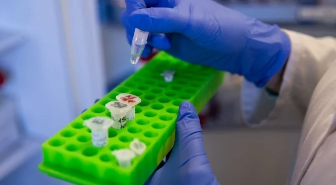 „Прегърбеният човек“ пристигна у нас: Първи потвърден случай на вируса чикунгуня в България